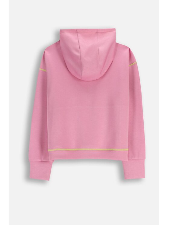 Lemon Explore Lemon Explore Bluza WL6132301ACG-007 Różowy Regular Fit