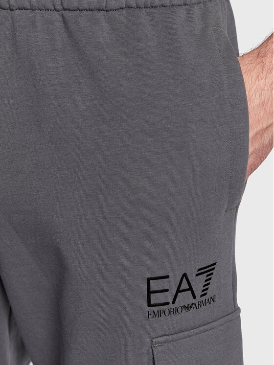EA7 Emporio Armani EA7 Emporio Armani Спортивні штани 6LPP84 PJ9FZ 1977 Сірий Regular Fit