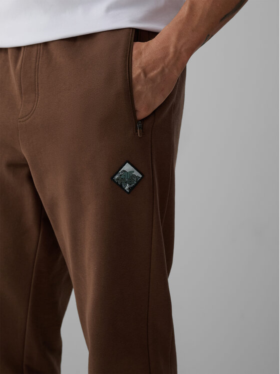 4F 4F Spodnie dresowe OVERLAND Brązowy Regular Fit