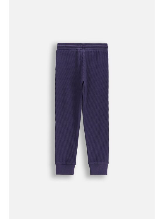Coccodrillo Coccodrillo Spodnie dresowe WC5122101SBK-015 Granatowy Regular Fit