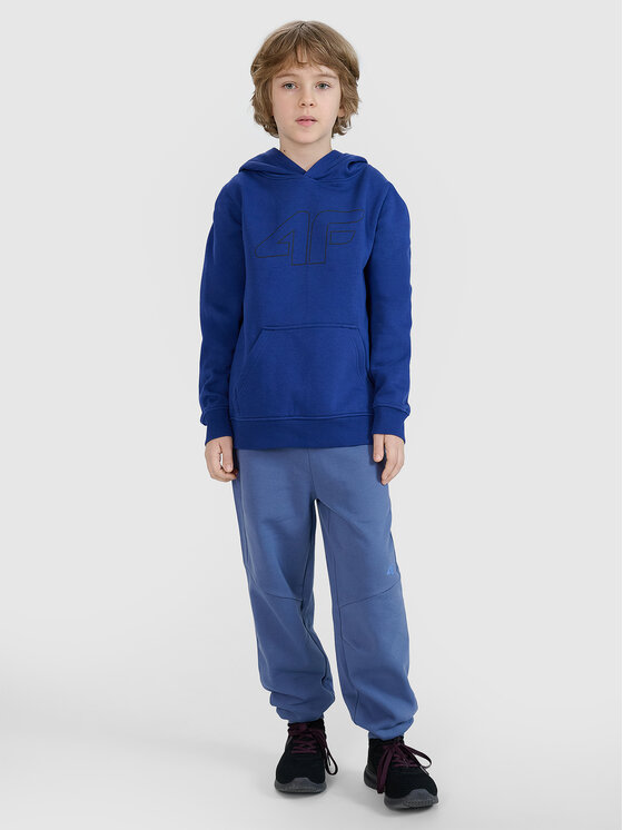 4F 4F Bluza BASIC+ Niebieski Regular Fit