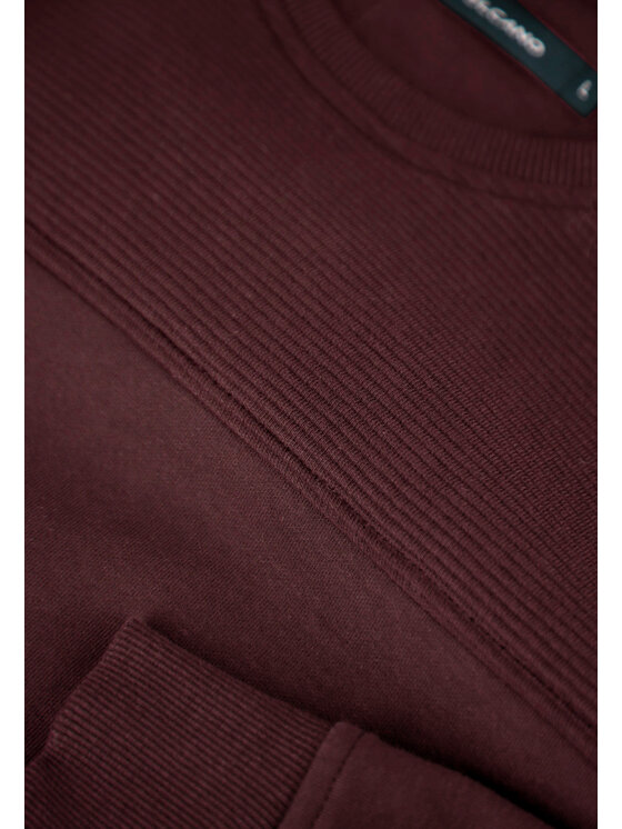 Volcano Volcano Bluza B-LEO Fioletowy Regular Fit