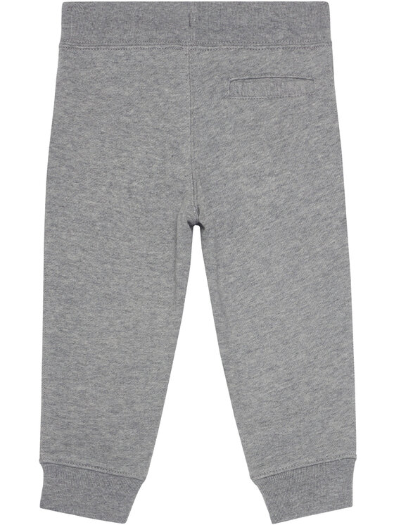 Polo Ralph Lauren Polo Ralph Lauren Sportinės kelnės 323720897004 Pilka Regular Fit