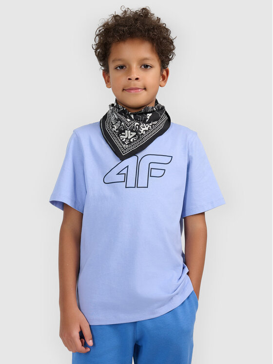 4F 4F T-Shirt BASIC+ Niebieski Regular Fit