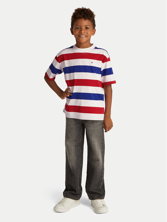 Tommy Hilfiger Tommy Hilfiger T-Shirt Essential Archive KB0KB09646 D Barevná Regular Fit