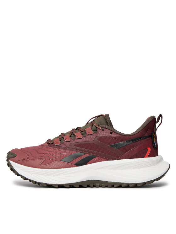 Reebok Reebok Pantofi pentru alergare Floatride Energy 5 Adventure HQ9061 Roșu