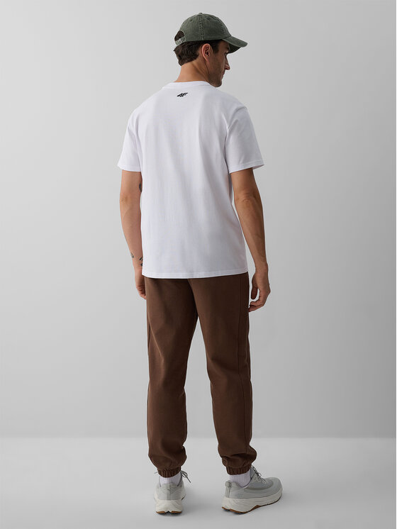 4F 4F Spodnie dresowe OVERLAND Brązowy Regular Fit