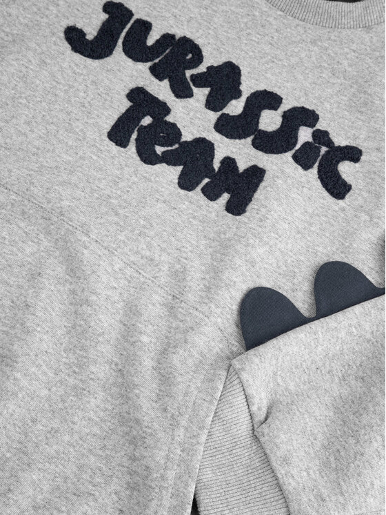Coccodrillo Coccodrillo Sweatshirt ZC4132101DBK Grau Regular Fit