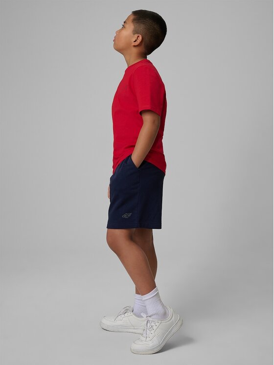 4F 4F Szorty sportowe BASIC+ Granatowy Regular Fit