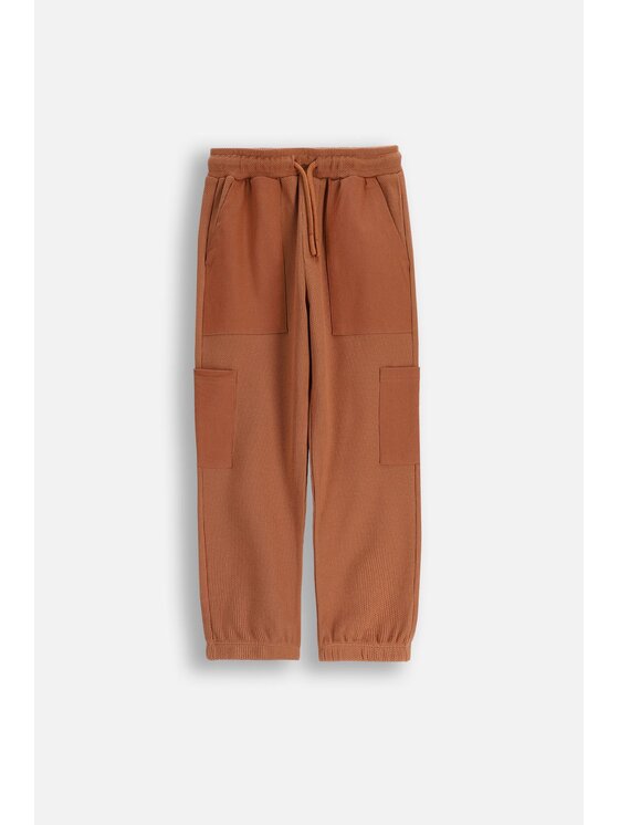 Coccodrillo Coccodrillo Teplákové kalhoty ZC5120103YBK-018 Hnědá Regular Fit