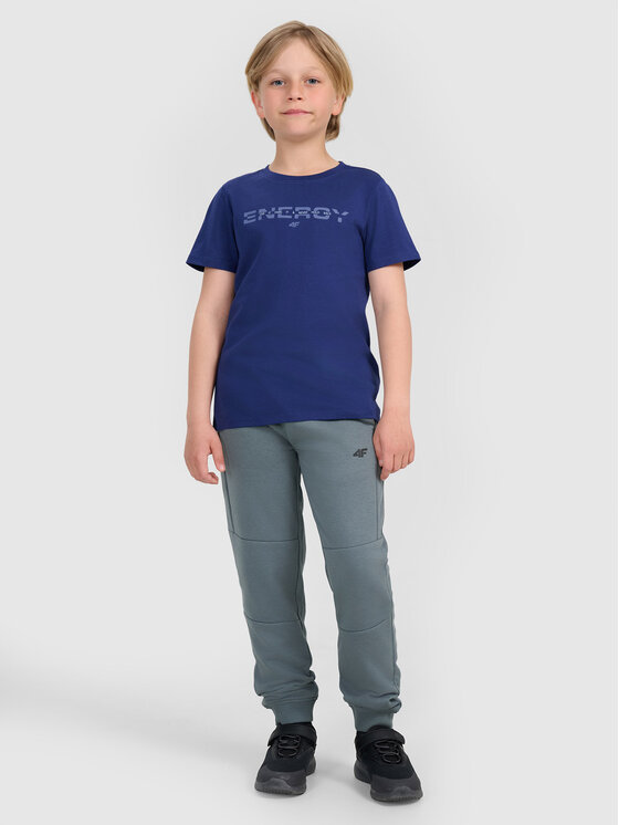 4F 4F T-Shirt BASIC+ Granatowy Regular Fit