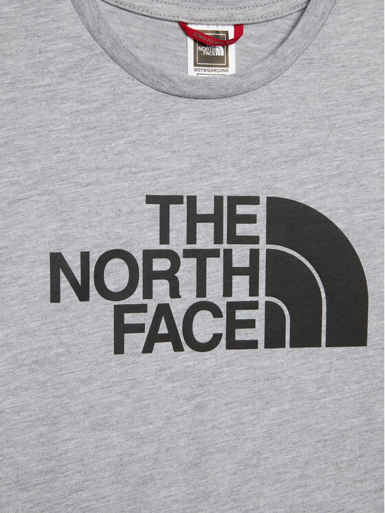The North Face The North Face Тишърт Easy NF0A82GH Сив Regular Fit