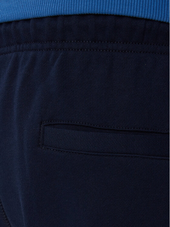 Tommy Hilfiger Tommy Hilfiger Spordišortsid Rwb MW0MW43384 Tumesinine Regular Fit