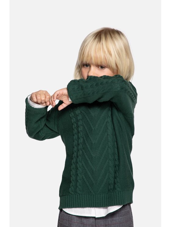 Coccodrillo Coccodrillo Sweter ZC3172101CBK-011 Zielony Regular Fit