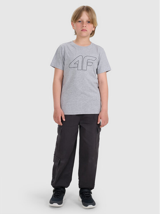 4F 4F T-Shirt BASIC+ Szary Regular Fit