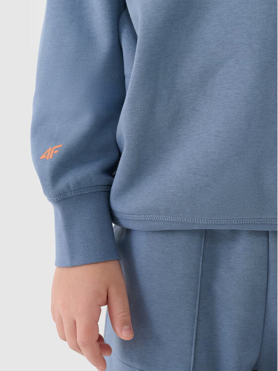 4F 4F Mikina 4FJRSS25TSWSM2040-32S Modrá Regular Fit