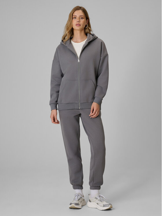 4F 4F Spodnie dresowe BASIC+ Szary Regular Fit