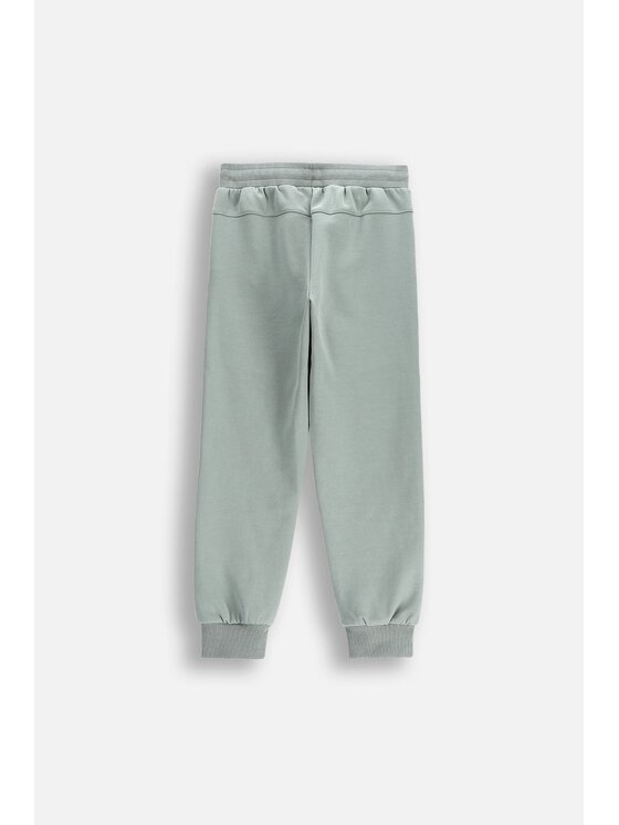Lemon Explore Lemon Explore Spodnie dresowe WL5120101ACB-012 Zielony Regular Fit