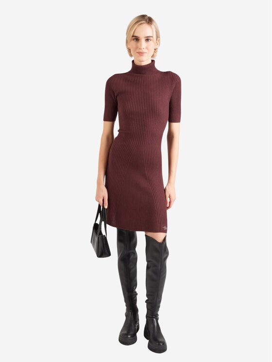 Guess Guess Vestito di maglia SS JULIA SEAMLESS SWTR DRESS Bordeaux Regular Fit