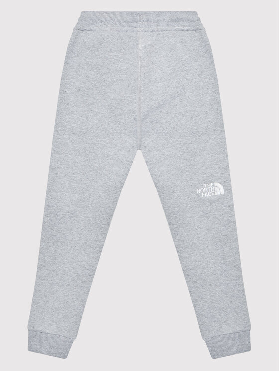 The North Face The North Face Долнище анцуг NF0A2WAI Сив Regular Fit