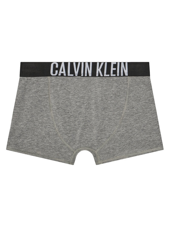 Calvin Klein Underwear Calvin Klein Underwear 2er-Set Boxershorts B70B700509 Bunt