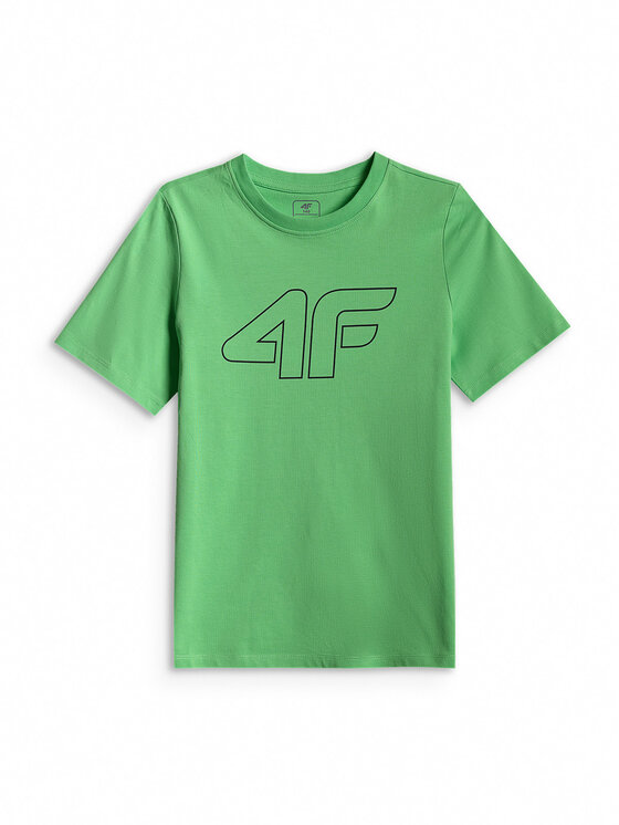 4F 4F T-Shirt BASIC+ Zelená Regular Fit