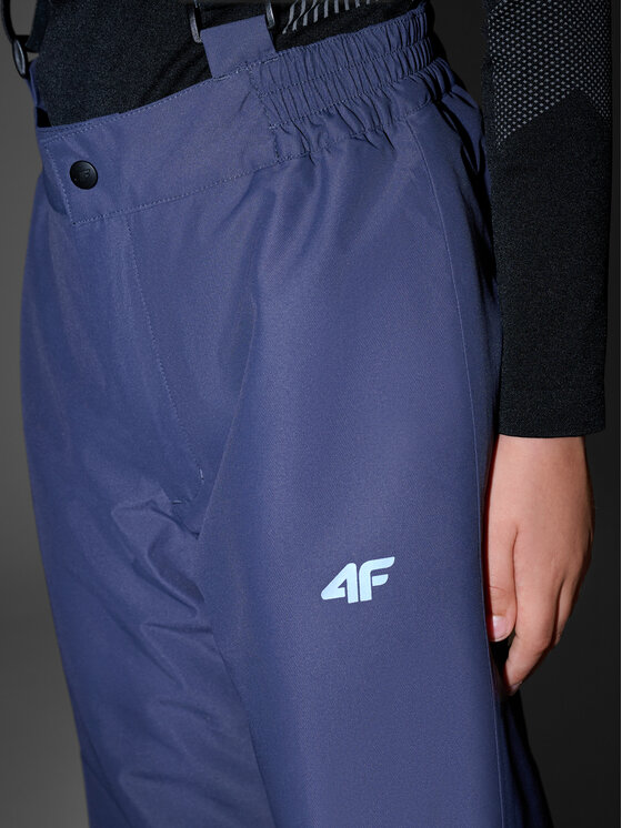 4F 4F Spodnie narciarskie SKI CLASSIC Szary ciemny Regular Fit