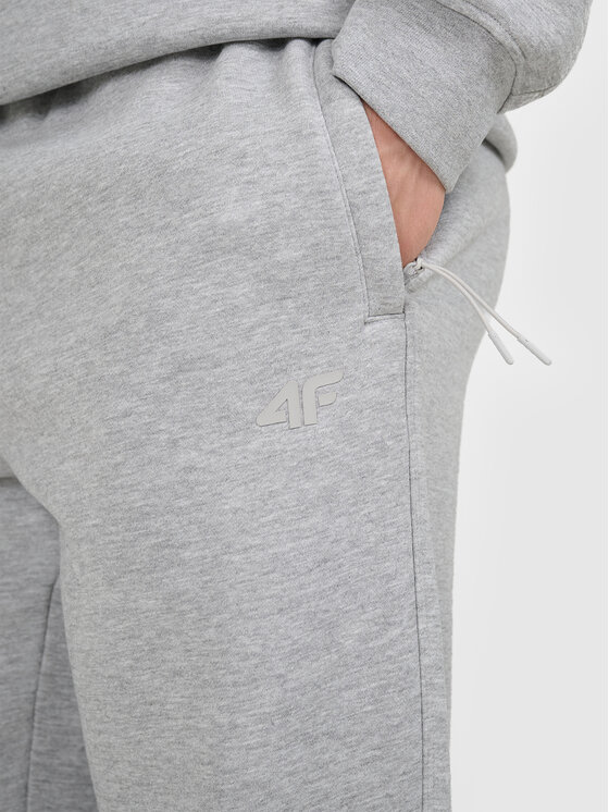 4F 4F Spodnie dresowe WINTER CODE Szary jasny Regular Fit