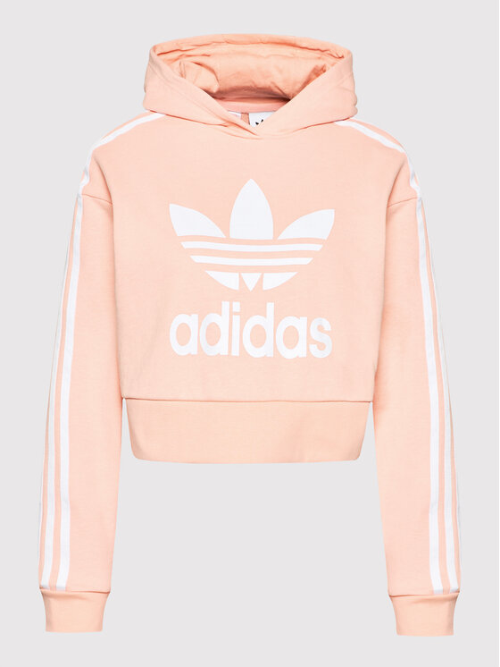adidas Sweatshirt adicolor H32339 Orange Cropped Fit Modivo