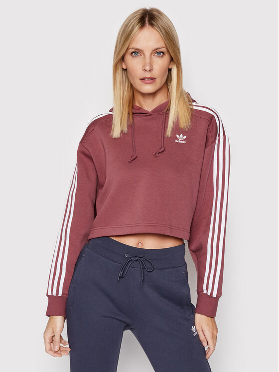 Felpa adicolor HC7531 Bordeaux Regular Fit