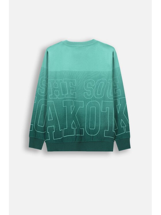 Coccodrillo Coccodrillo T-Shirt ZC4143103ABJ-022 Kolorowy Regular Fit