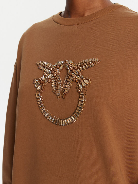 PINKO PINKO Sweatshirt Nelly 100534 A2RO Braun Regular Fit