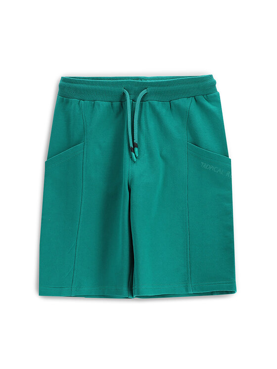 Coccodrillo Coccodrillo Sportovní kraťasy WC5120502TBJ Zelená Regular Fit