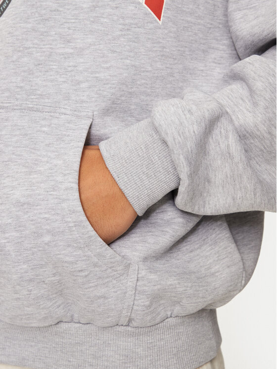 Karl Kani Karl Kani Sweatshirt Eagle Print 60210116 Grau Regular Fit