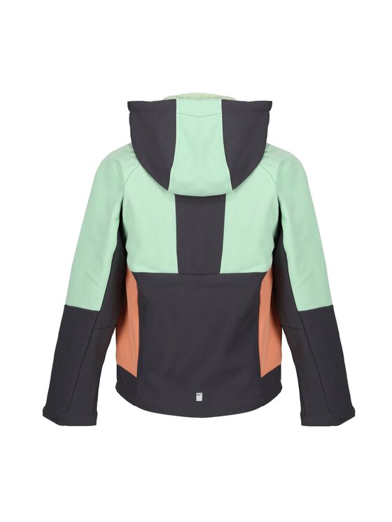 Regatta Regatta Kurtka outdoor Haydenbury Szary Long Fit