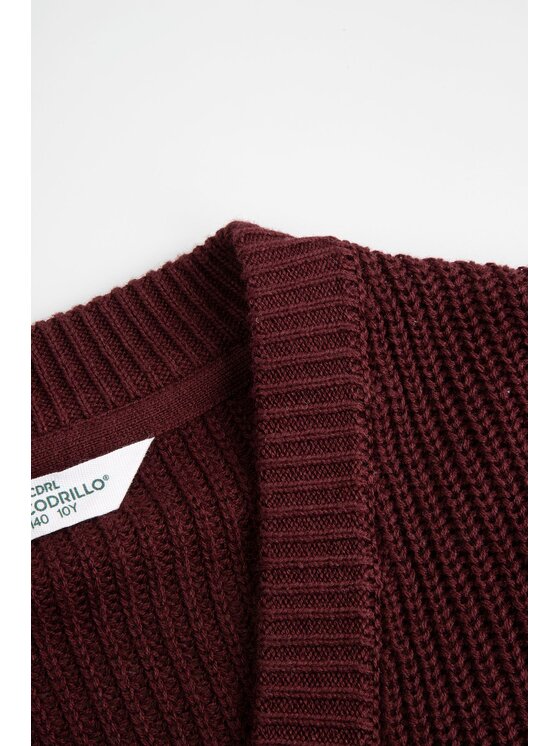 Coccodrillo Coccodrillo Sweter ZC6172201FGJ-017 Bordowy Regular Fit