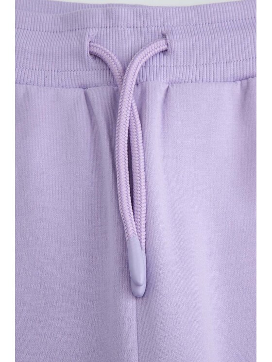 Coccodrillo Coccodrillo Spodnie dresowe ZC6120101HGJ-016 Fioletowy Regular Fit