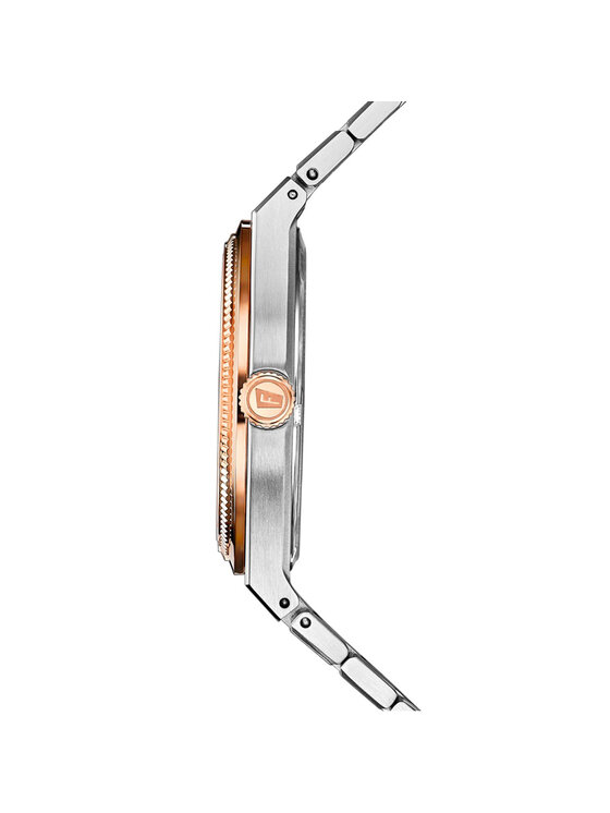 Festina Festina Hodinky F20031-2 Strieborná