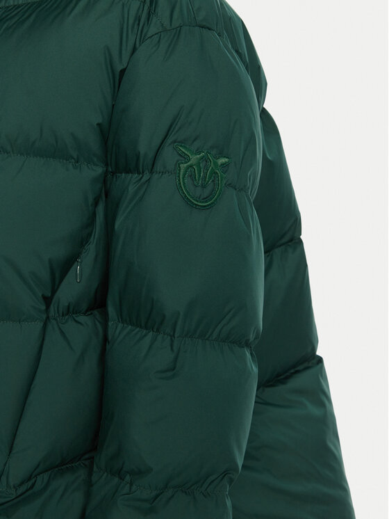 PINKO PINKO Winterjacke 101602 A2P6 Grün Regular Fit