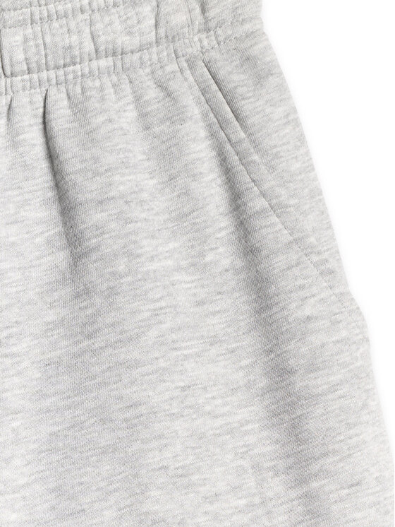 4F 4F Szorty sportowe BASIC+ Szary Oversize