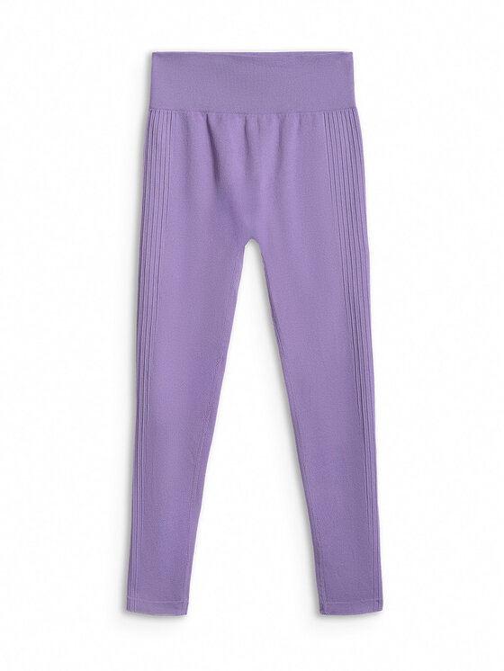 4F 4F Legginsy MULTI ACTIVE Fioletowy Slim Fit