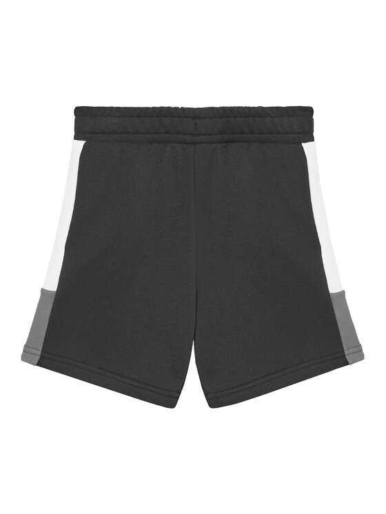 Puma Puma Sportske kratke hlače Ess 685821 Crna Regular Fit