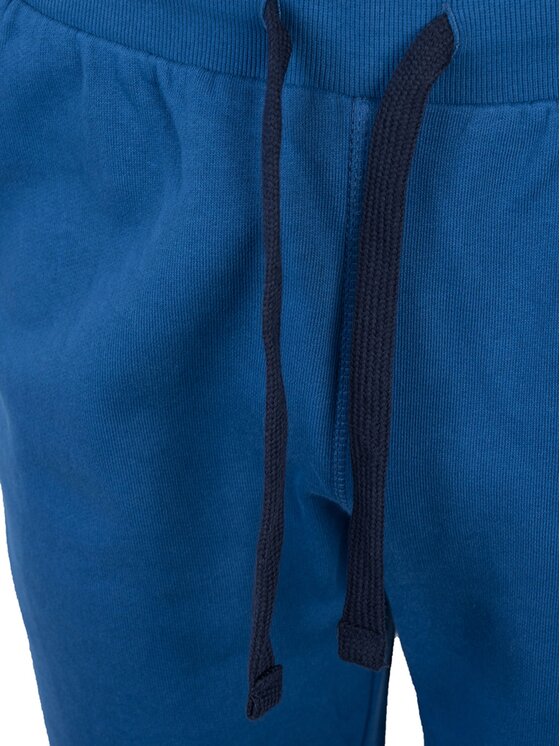 North Sails North Sails Pantaloni di tessuto 90 3203 000 | Sweatpant W/Graphic Blu Regular Fit