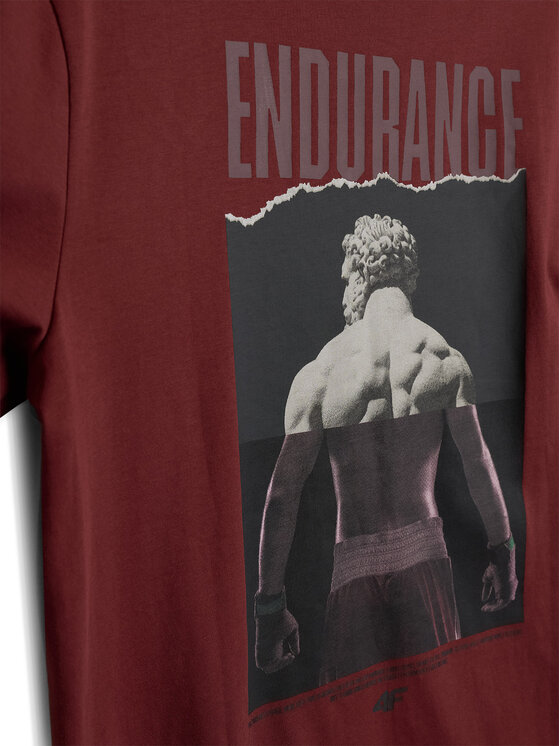 4F 4F T-Shirt STUDIO 4F Brązowy Regular Fit