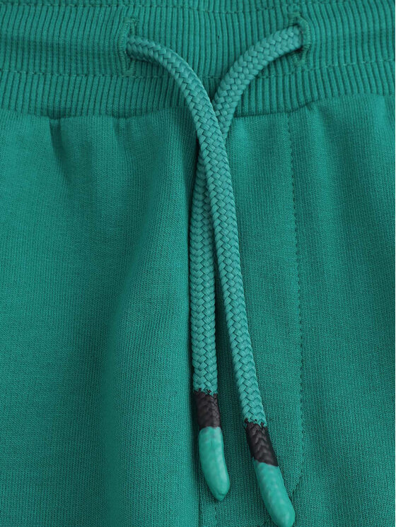Coccodrillo Coccodrillo Sportovní kraťasy WC5120502TBJ Zelená Regular Fit