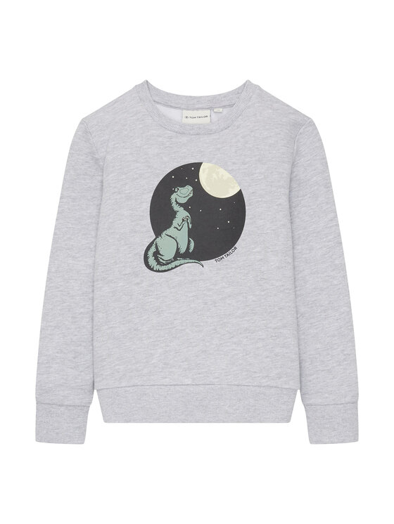 Tom Tailor Sweatshirt - Kinderkleidung, Größe 116_122 Grau 1034245