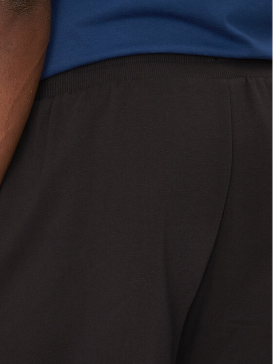 The North Face The North Face Αθλητικό σορτς Nse Box NF0A8C1J Μαύρο Regular Fit