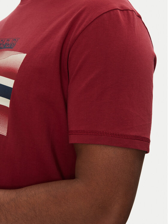 Napapijri Napapijri T-Shirt S-Lari NP0A4IE5R1E1 Rot Regular Fit