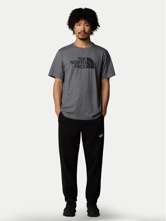 The North Face The North Face T-Shirt Easy NF0A8A6C Szary Regular Fit
