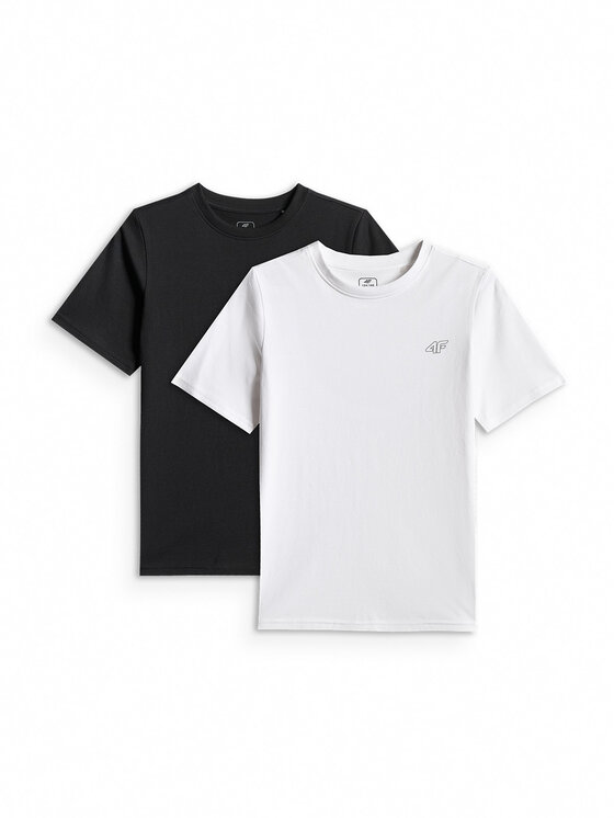 4F 4F T-Shirt BASIC+ Kolorowy Regular Fit